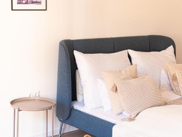 Deluxe Swan Stone Castle Apartment : photo 3 de la chambre appartement 1 chambre