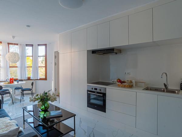 Deluxe Swan Stone Castle Apartment : photo 6 de la chambre appartement 1 chambre