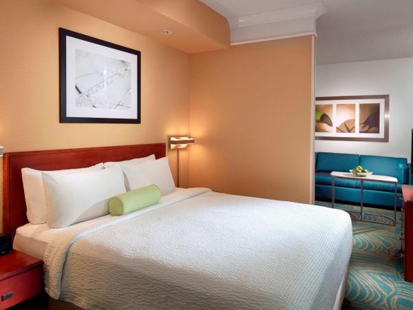 SpringHill Suites by Marriott Atlanta Buckhead : photo 1 de la chambre suite lit king-size avec canapé-lit