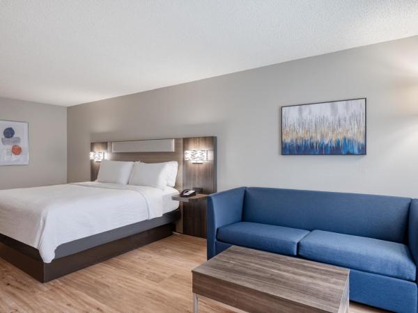 Holiday Inn Express Hotel & Suites Columbia-I-20 at Clemson Road, an IHG Hotel : photo 1 de la chambre suite lit king-size