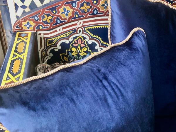 Riad Ibn Battouta & Spa : photo 5 de la chambre suite samarquand