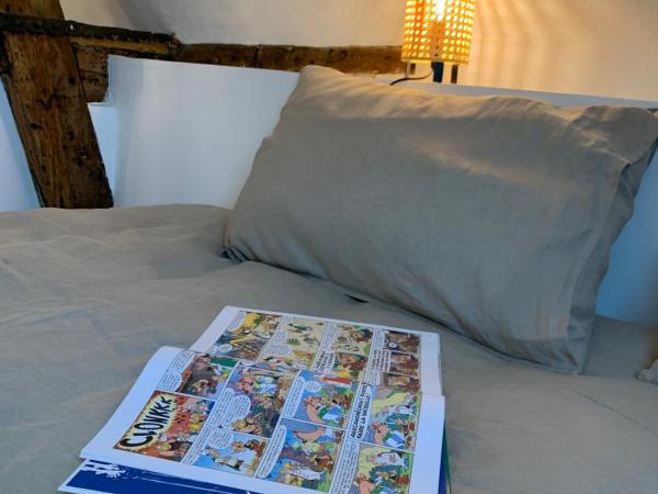 galerie jacqueline storme : photo 5 de la chambre chambre familiale
