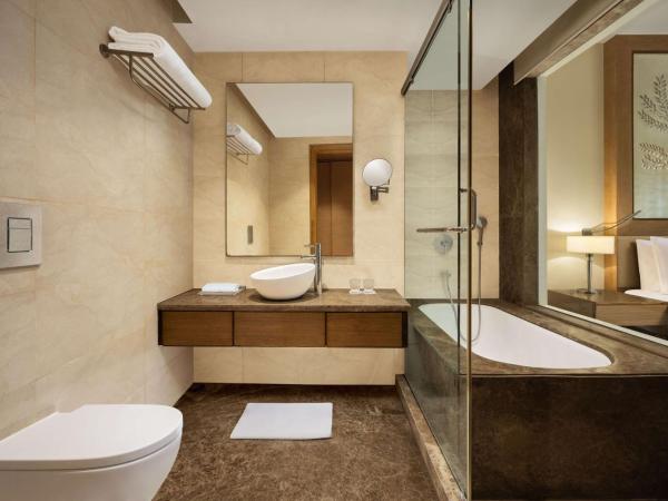 Radisson Blu Hotel New Delhi Dwarka : photo 1 de la chambre business double room with 20% discount on food & soft beverage
