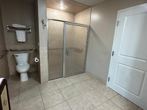 Tahitian Inn Boutique Hotel Tampa : photo 5 de la chambre chambre lit queen-size - accessible aux personnes à mobilité réduite