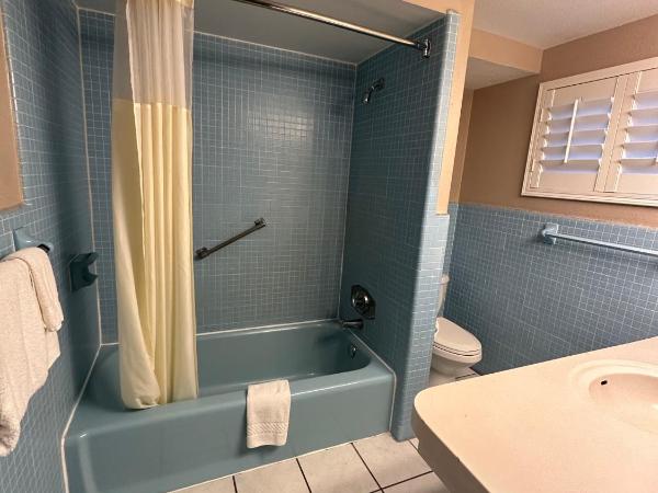 Tahitian Inn Boutique Hotel Tampa : photo 8 de la chambre chambre lit king-size