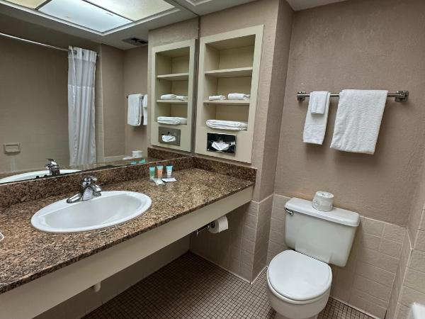 Tahitian Inn Boutique Hotel Tampa : photo 4 de la chambre chambre lit king-size