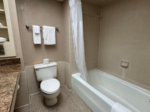 Tahitian Inn Boutique Hotel Tampa : photo 5 de la chambre chambre lit king-size