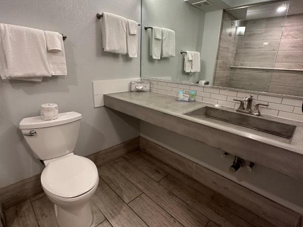 Tahitian Inn Boutique Hotel Tampa : photo 7 de la chambre chambre avec 2 grands lits queen-size