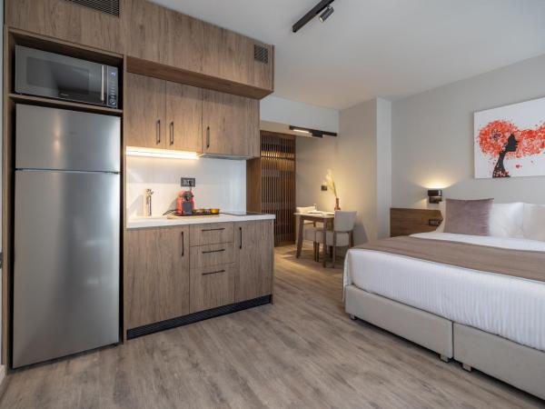 507 Athens : photo 4 de la chambre studio lit king-size