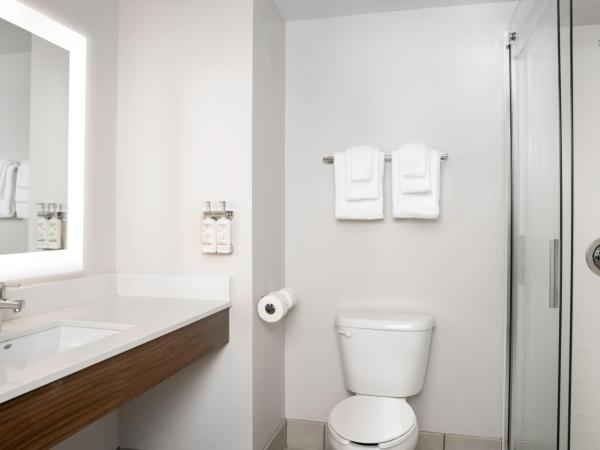 Holiday Inn Express & Suites Pittsburgh North Shore, an IHG Hotel : photo 2 de la chambre chambre lit king-size standard