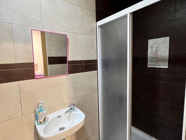 Hostal Milan : photo 3 de la chambre chambre simple avec salle de bains privative