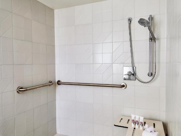 Virgin Hotels Las Vegas, Curio Collection by Hilton : photo 4 de la chambre resort chamber king room with roll-in shower - mobility accessible