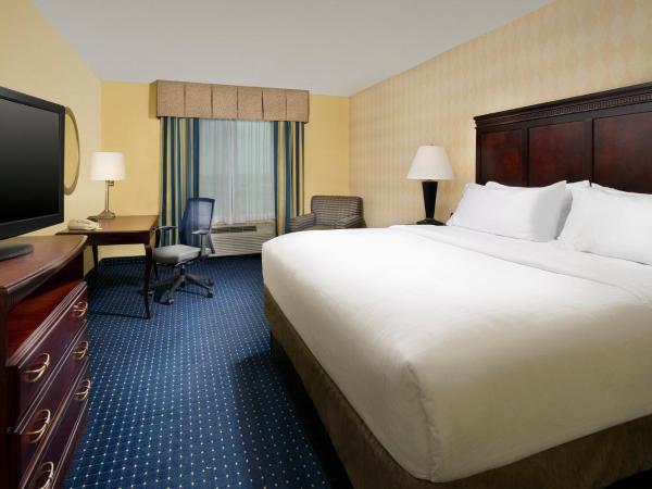 Holiday Inn Express & Suites San Antonio West Sea World Area, an IHG Hotel : photo 4 de la chambre chambre lit king-size standard