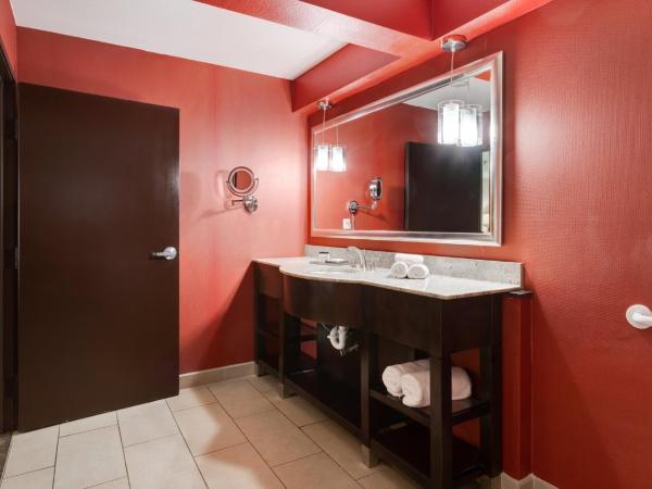 Crowne Plaza Houston Galleria Area, an IHG Hotel : photo 7 de la chambre chambre lit king-size standard avec douche accessible en fauteuil roulant - adaptée aux personnes à mobilité réduite