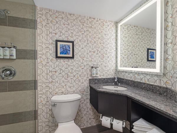 Holiday Inn Toronto Downtown Centre, an IHG Hotel : photo 8 de la chambre chambre double standard avec 2 lits doubles