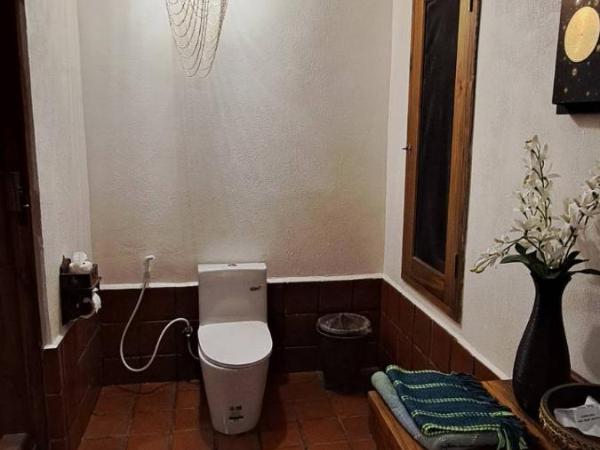 Viking Nature Resort : photo 6 de la chambre grande chambre double de luxe avec climatisation 