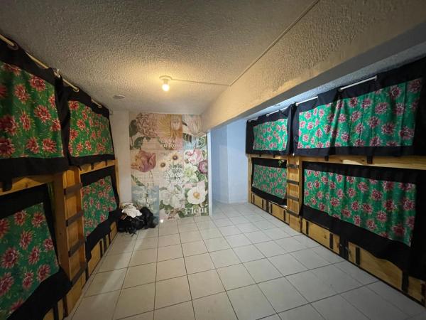 Salve Maloca Hostel : photo 2 de la chambre lit superposé dans dortoir mixte