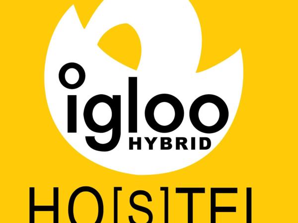 Igloo Hybrid : photo 5 de la chambre lit dans dortoir 6 lits