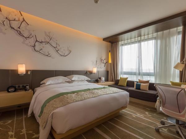 Hilton Garden Inn Xi'an High-Tech Zone : photo 4 de la chambre suite 1 chambre lit king-size