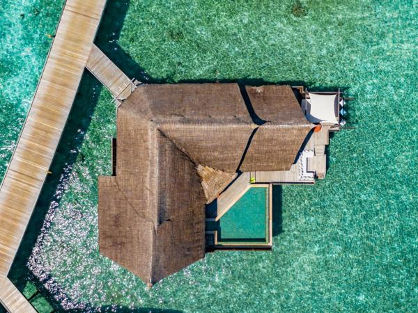 OZEN RESERVE BOLIFUSHI - Luxury All Inclusive : photo 9 de la chambre suite océan avec piscine privée