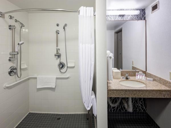 Hilton Garden Inn Sacramento/South Natomas : photo 5 de la chambre chambre lit king-size avec baignoire accessible aux personnes à mobilité réduite - adaptée aux personnes à mobilité réduite