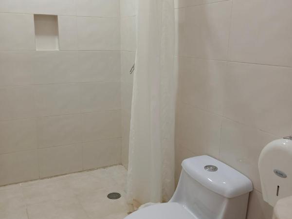 Hotel Playa de Oro - Enfrente de WTC y Plazas Comerciales : photo 5 de la chambre chambre familiale