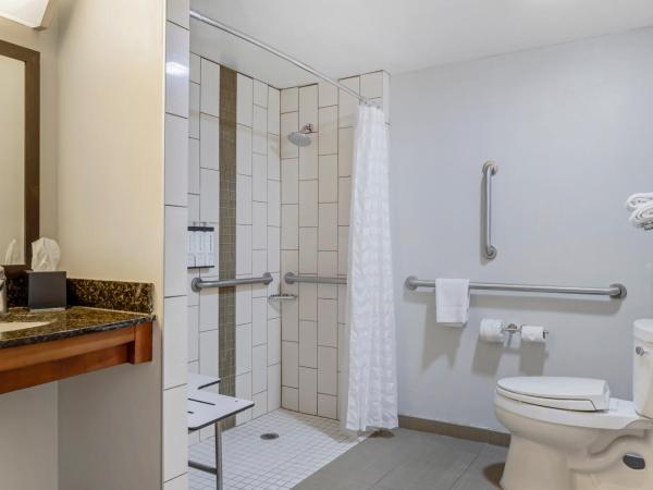 Hyatt Place Houston-North : photo 5 de la chambre chambre lit king-size avec canapé-lit et douche accessible en fauteuil roulant - accessible aux personnes à mobilité réduite