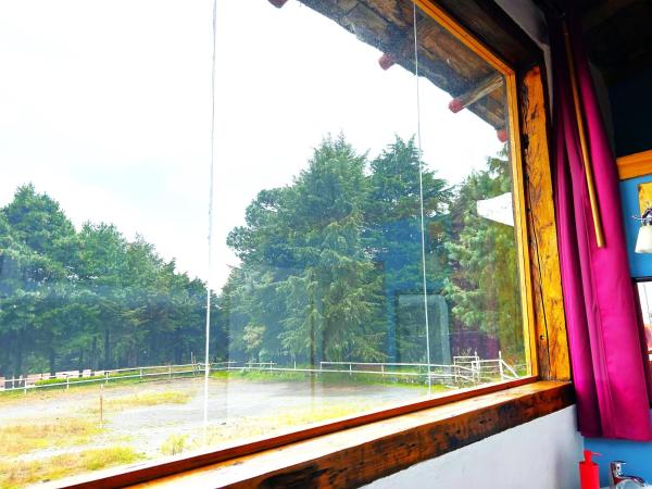 Rancho EL PARAÍSO AJUSCO : photo 6 de la chambre suite double standard