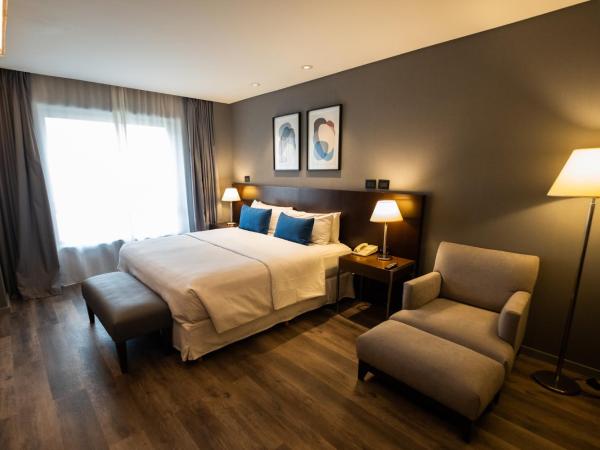474 Buenos Aires Hotel : photo 6 de la chambre chambre supérieure lit queen-size