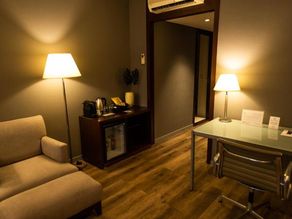 474 Buenos Aires Hotel : photo 9 de la chambre chambre supérieure lit queen-size
