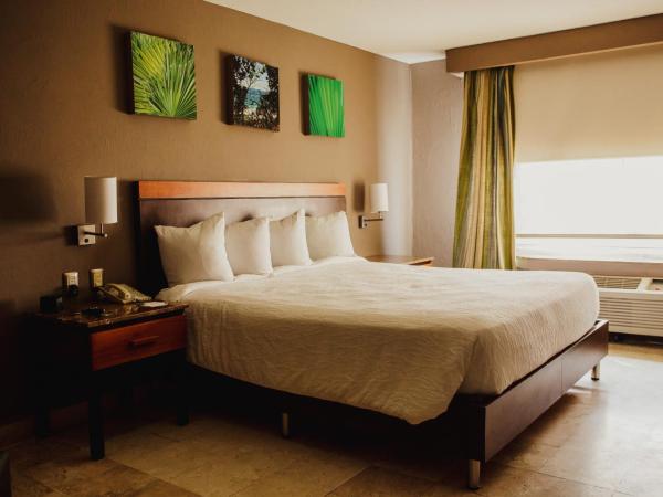 Hilton Garden Inn Veracruz Boca del Rio : photo 1 de la chambre chambre lit king-size avec vue sur la ville