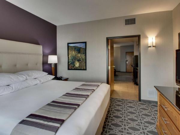 Drury Inn & Suites Albuquerque North : photo 7 de la chambre suite lit king-size avec kitchenette