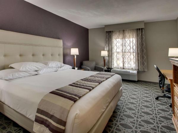 Drury Inn & Suites Albuquerque North : photo 3 de la chambre chambre lit king-size