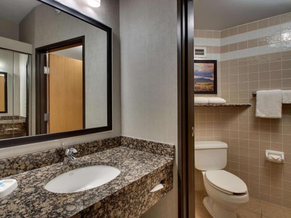 Drury Inn & Suites Albuquerque North : photo 1 de la chambre chambre lit king-size