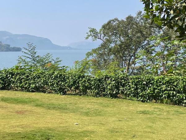 The Green Gate Resort Mulshi : photo 3 de la chambre super deluxe lake view - no stags allowed