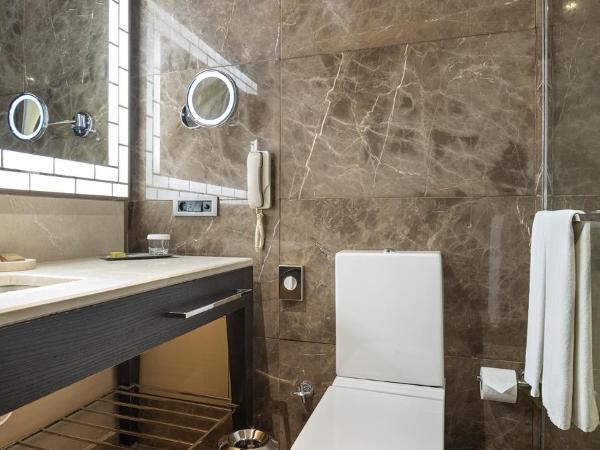 Ankara HiltonSA : photo 10 de la chambre suite capitale avec accès au salon