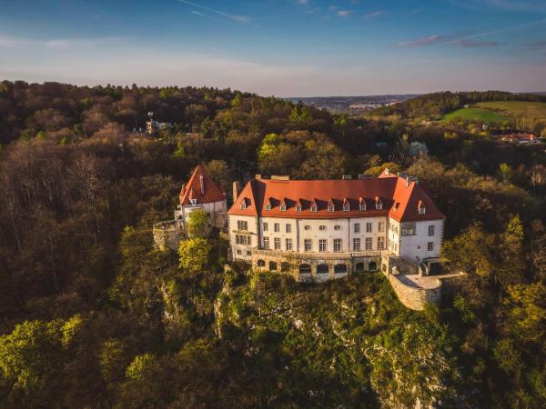 Forest Hotel : photo 6 de la chambre chambre de luxe dans le château