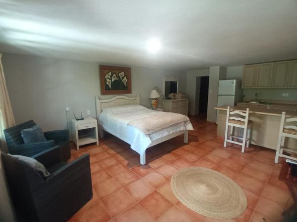 Hacienda San Miguel : photo 1 de la chambre studio avec vue sur jardin
