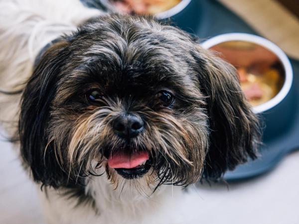AC Hotel by Marriott Denver Downtown : photo 2 de la chambre corner king room with downtown view