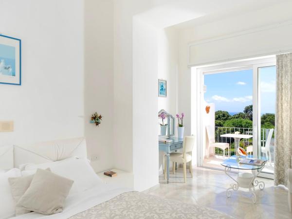 Hotel La Floridiana : photo 6 de la chambre chambre double ou lits jumeaux supérieure - vue sur mer