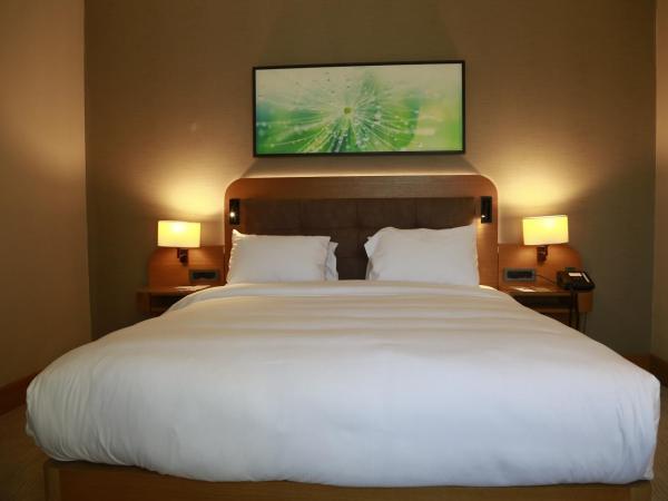 DoubleTree by Hilton Hotel Istanbul - Tuzla : photo 4 de la chambre chambre lit king-size deluxe