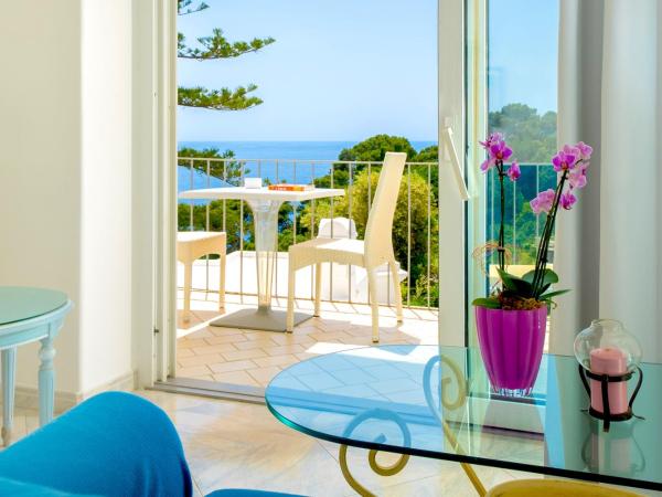 Hotel La Floridiana : photo 2 de la chambre chambre double ou lits jumeaux supérieure - vue sur mer