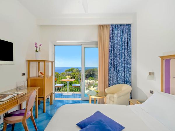 Hotel La Floridiana : photo 5 de la chambre chambre deluxe dernier Étage avec balcon et vue sur mer