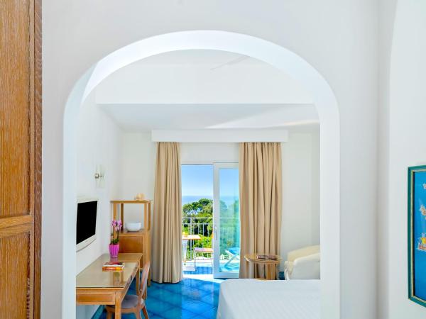 Hotel La Floridiana : photo 1 de la chambre chambre deluxe dernier Étage avec balcon et vue sur mer