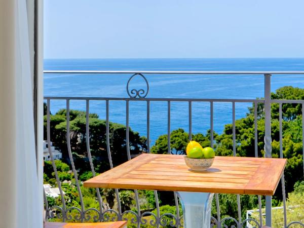 Hotel La Floridiana : photo 8 de la chambre chambre deluxe dernier Étage avec balcon et vue sur mer
