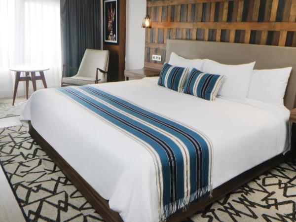 Hotel Indigo Guadalajara Expo, an IHG Hotel : photo 8 de la chambre hébergement lit king-size standard