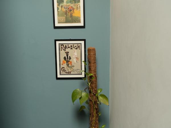 Bed and Bike Verona : photo 4 de la chambre grande chambre double ou lits jumeaux