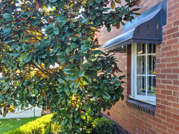 Edward Lodge New Fam : photo 9 de la chambre premium twin room/triple