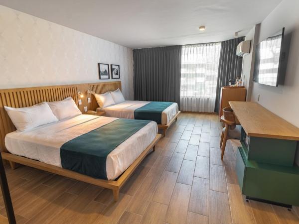 Oliva Plaza Hotel : photo 4 de la chambre chambre lits jumeaux