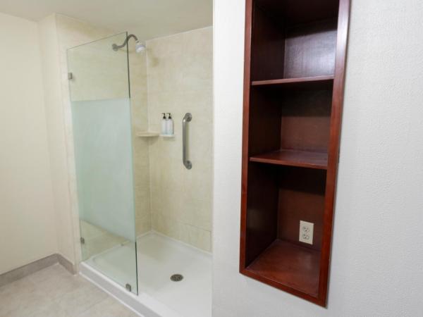 Hampton Inn by Hilton Guadalajara-Aeropuerto : photo 4 de la chambre chambre lit king-size - non-fumeurs